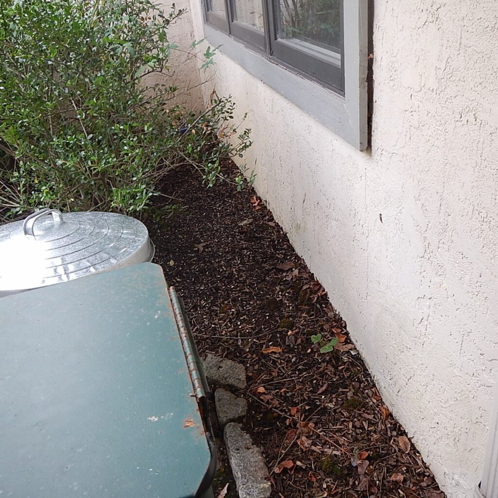 Buffer To Prevent Ground Cover Nightmares