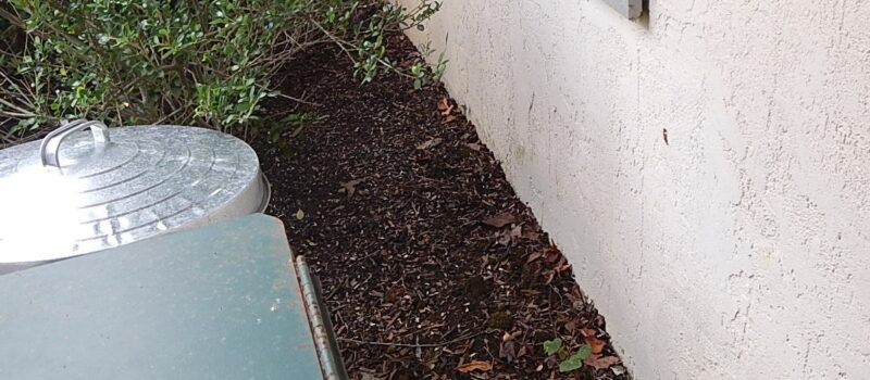 Buffer To Prevent Ground Cover Nightmares