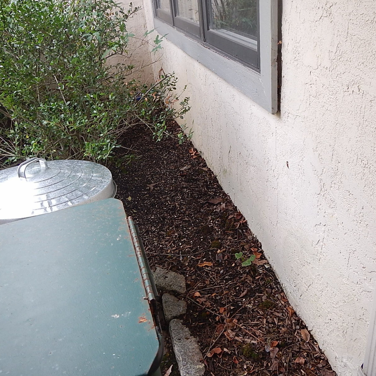 Buffer To Prevent Ground Cover Nightmares